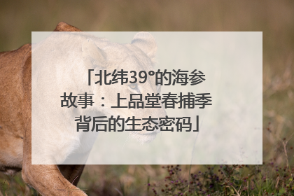 北纬39°的海参故事：上品堂春捕季背后的生态密码