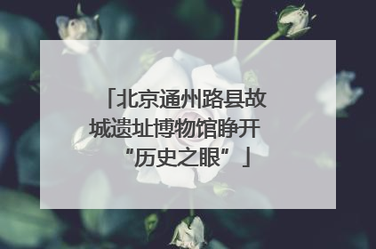 北京通州路县故城遗址博物馆睁开“历史之眼”