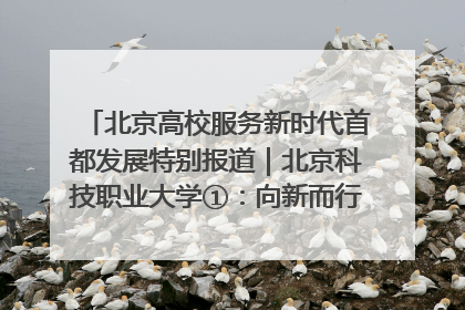 北京高校服务新时代首都发展特别报道｜北京科技职业大学①：向新而行，为首都低空经济发展提供“即战力”
