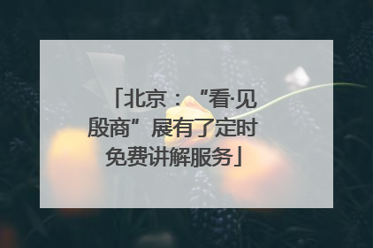 北京：“看·见殷商”展有了定时免费讲解服务