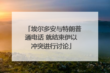 埃尔多安与特朗普通电话 就结束伊以冲突进行讨论