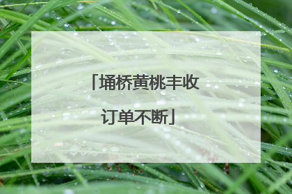 埇桥黄桃丰收 订单不断