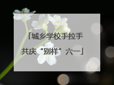 城乡学校手拉手 共庆“别样”六一