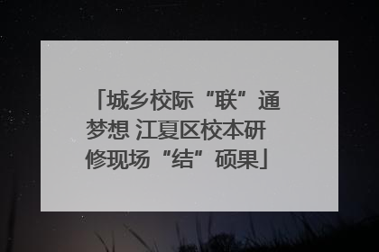城乡校际“联”通梦想 江夏区校本研修现场“结”硕果