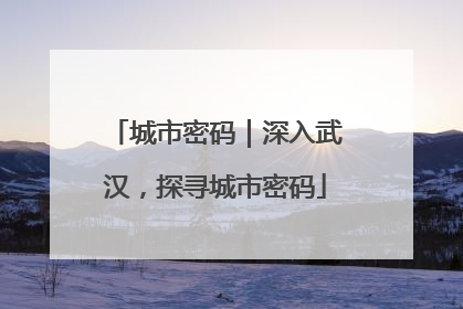 城市密码｜深入武汉，探寻城市密码