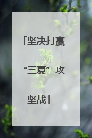 坚决打赢“三夏”攻坚战