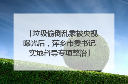 垃圾偷倒乱象被央视曝光后，萍乡市委书记实地督导专项整治