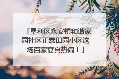 垦利区永安镇和谐家园社区正泰田园小区这场百家宴真热闹！