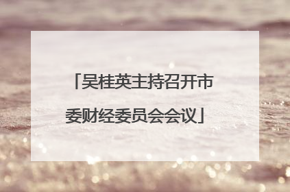 吴桂英主持召开市委财经委员会会议