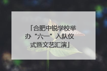 合肥中锐学校举办“六一”入队仪式暨文艺汇演
