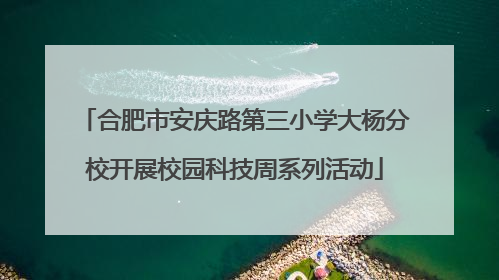 合肥市安庆路第三小学大杨分校开展校园科技周系列活动