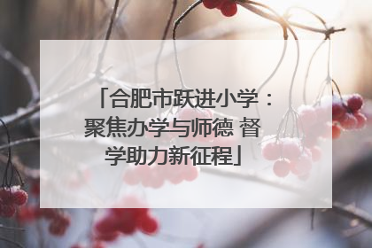 合肥市跃进小学：聚焦办学与师德 督学助力新征程