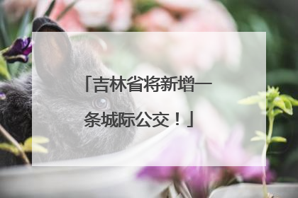 吉林省将新增一条城际公交！