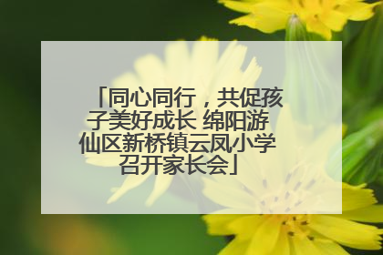 同心同行，共促孩子美好成长 绵阳游仙区新桥镇云凤小学召开家长会