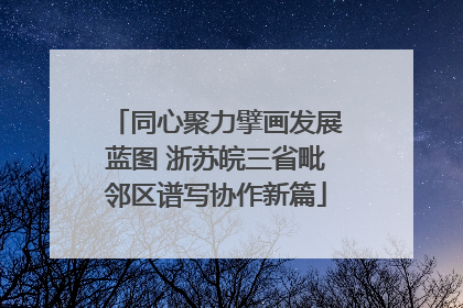 同心聚力擘画发展蓝图 浙苏皖三省毗邻区谱写协作新篇