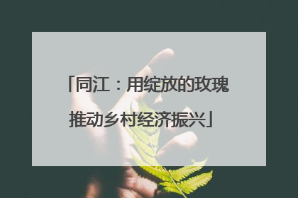 同江：用绽放的玫瑰 推动乡村经济振兴