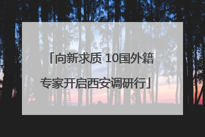 向新求质 10国外籍专家开启西安调研行