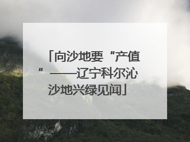 向沙地要“产值”——辽宁科尔沁沙地兴绿见闻