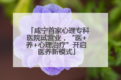 咸宁首家心理专科医院试营业，“医+养+心理治疗”开启医养新模式