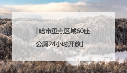 哈市重点区域60座公厕24小时开放