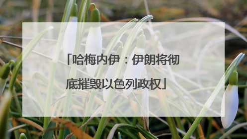 哈梅内伊：伊朗将彻底摧毁以色列政权