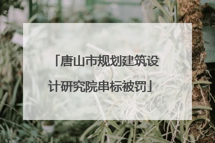 唐山市规划建筑设计研究院串标被罚