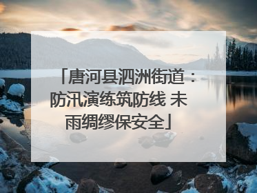 唐河县泗洲街道：防汛演练筑防线 未雨绸缪保安全