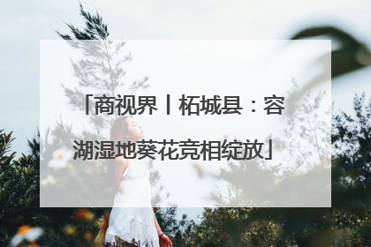商视界丨柘城县：容湖湿地葵花竞相绽放