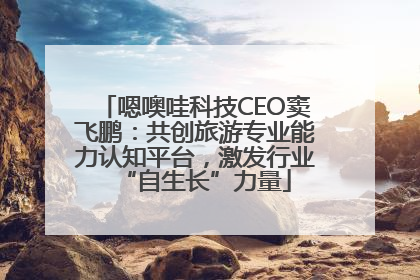 嗯噢哇科技CEO窦飞鹏：共创旅游专业能力认知平台，激发行业“自生长”力量