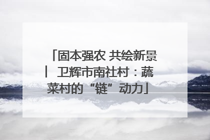固本强农 共绘新景 ︳卫辉市南社村：蔬菜村的“链”动力