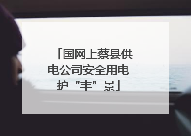 国网上蔡县供电公司安全用电护“丰”景