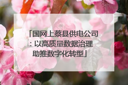 国网上蔡县供电公司：以高质量数据治理 助推数字化转型