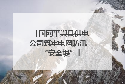 国网平舆县供电公司筑牢电网防汛“安全堤”