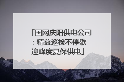 国网庆阳供电公司：精益巡检不停歇 迎峰度夏保供电