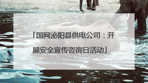 国网泌阳县供电公司：开展安全宣传咨询日活动