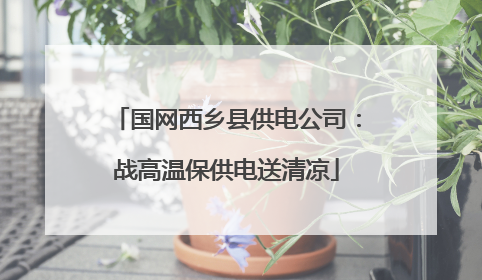 国网西乡县供电公司：战高温保供电送清凉