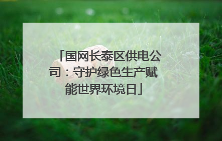 国网长泰区供电公司：守护绿色生产赋能世界环境日