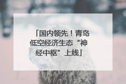 国内领先！青岛低空经济生态“神经中枢”上线