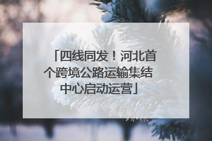 四线同发！河北首个跨境公路运输集结中心启动运营