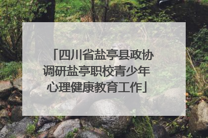 四川省盐亭县政协调研盐亭职校青少年心理健康教育工作