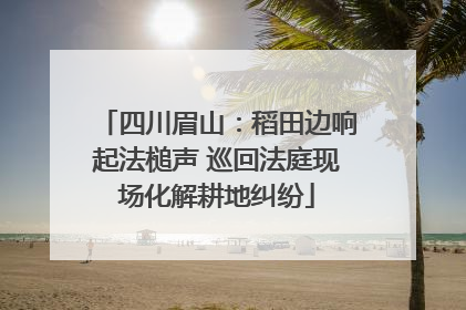 四川眉山：稻田边响起法槌声 巡回法庭现场化解耕地纠纷