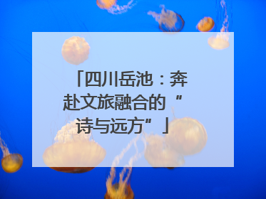 四川岳池：奔赴文旅融合的“诗与远方”