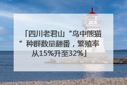 四川老君山“鸟中熊猫”种群数量翻番，繁殖率从15%升至32%