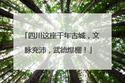 四川这座千年古城，文脉充沛，武德爆棚！