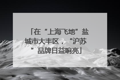 在“上海飞地”盐城市大丰区，“沪苏”品牌日益响亮
