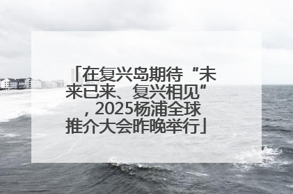 在复兴岛期待“未来已来、复兴相见”，2025杨浦全球推介大会昨晚举行