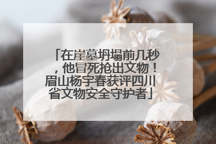 在崖墓坍塌前几秒，他冒死抢出文物！眉山杨宇春获评四川省文物安全守护者