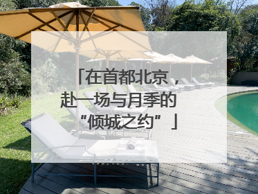 在首都北京，赴一场与月季的“倾城之约”