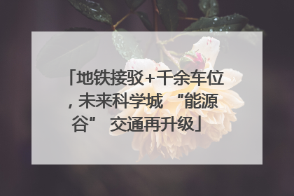 地铁接驳+千余车位，未来科学城 “能源谷” 交通再升级