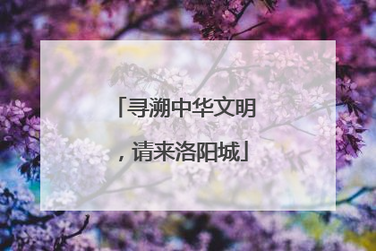 寻溯中华文明，请来洛阳城